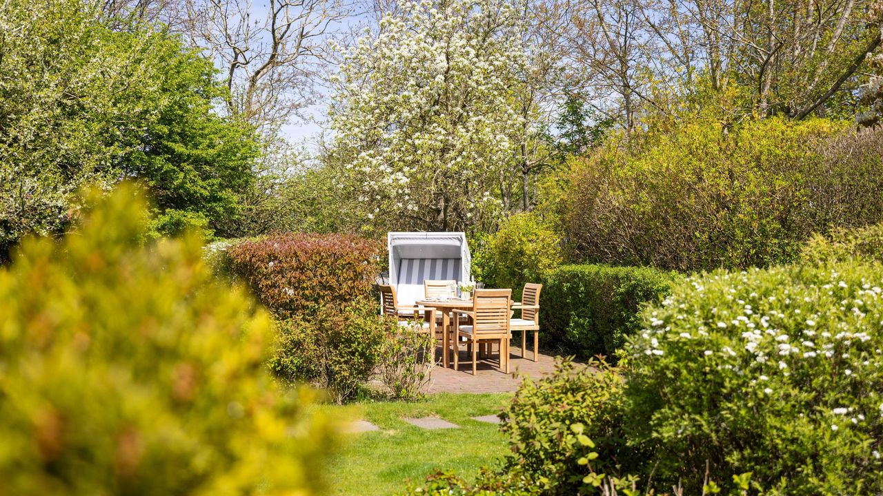 Terrasse Terrasse